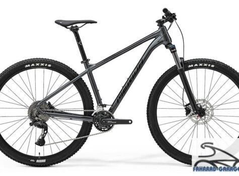 29 Zoll Mountainbike von Merida BIG.NINE 300 IV1