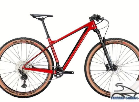 29 Zoll Mountainbike von CONWAY MTB Hardtail „RLC 4.9“