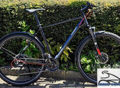 29 Zoll Mountainbike von Conway Razz C 4.0