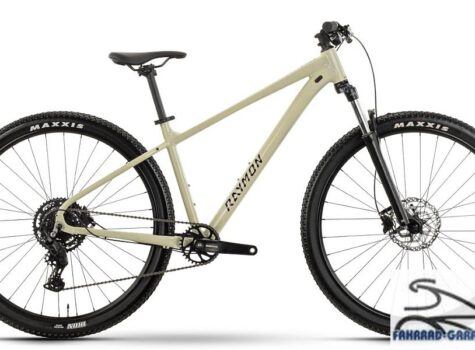 29 Zoll Mountainbike von Raymon NAYTA COMP
