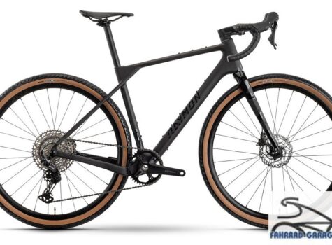 28 Zoll Gravelbike von Raymon SORENO PURE