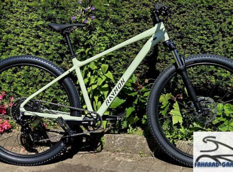 29 Zoll Mountainbike von Raymon NAYTA COMP