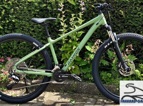 29 Zoll Mountainbike von Raymon NAYTA PRO