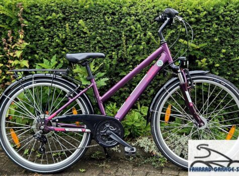26 Zoll Kinderfahrrad von Pegasus