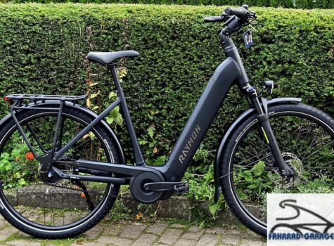 27,5 Zoll Elektrofahrrad von Raymon Metmo Pro